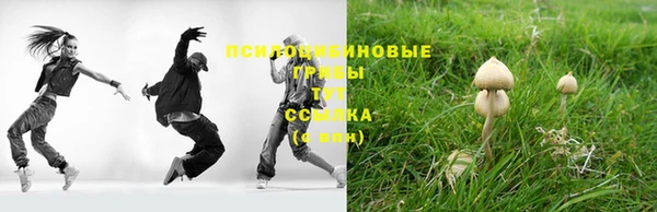 соль ск Арсеньев