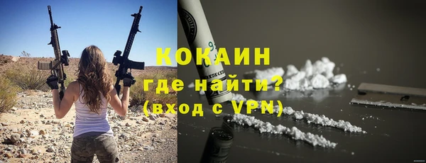 соль ск Арсеньев
