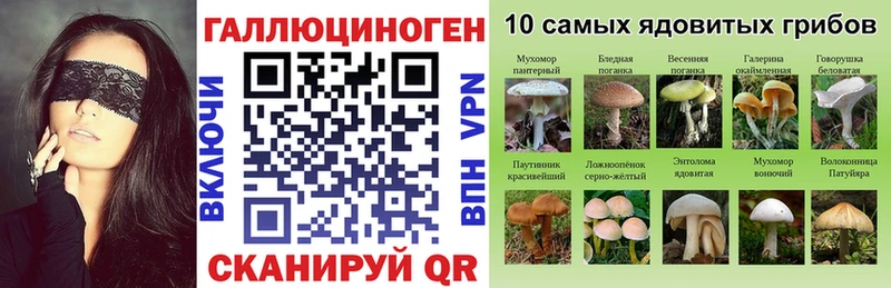 Псилоцибиновые грибы Magic Shrooms  Ельня 