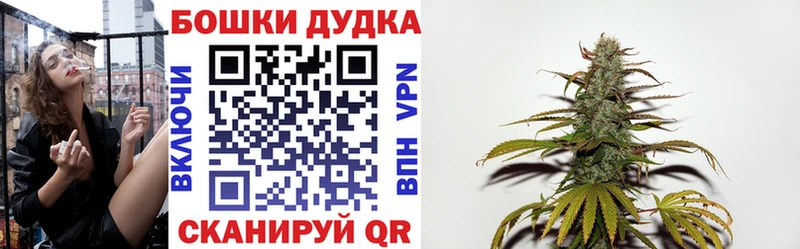 Бошки Шишки гибрид  магазин    Ельня 